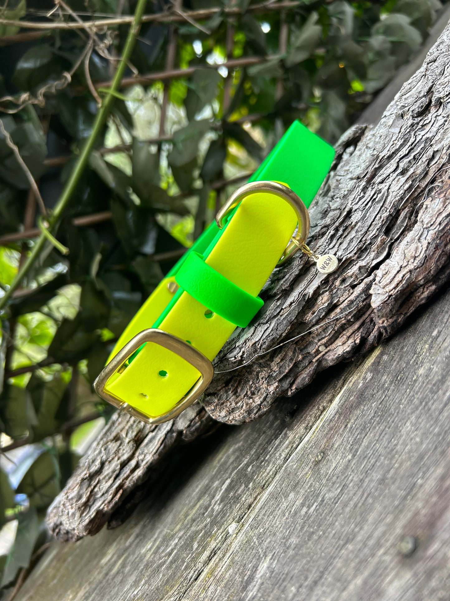 Double Trouble Collar