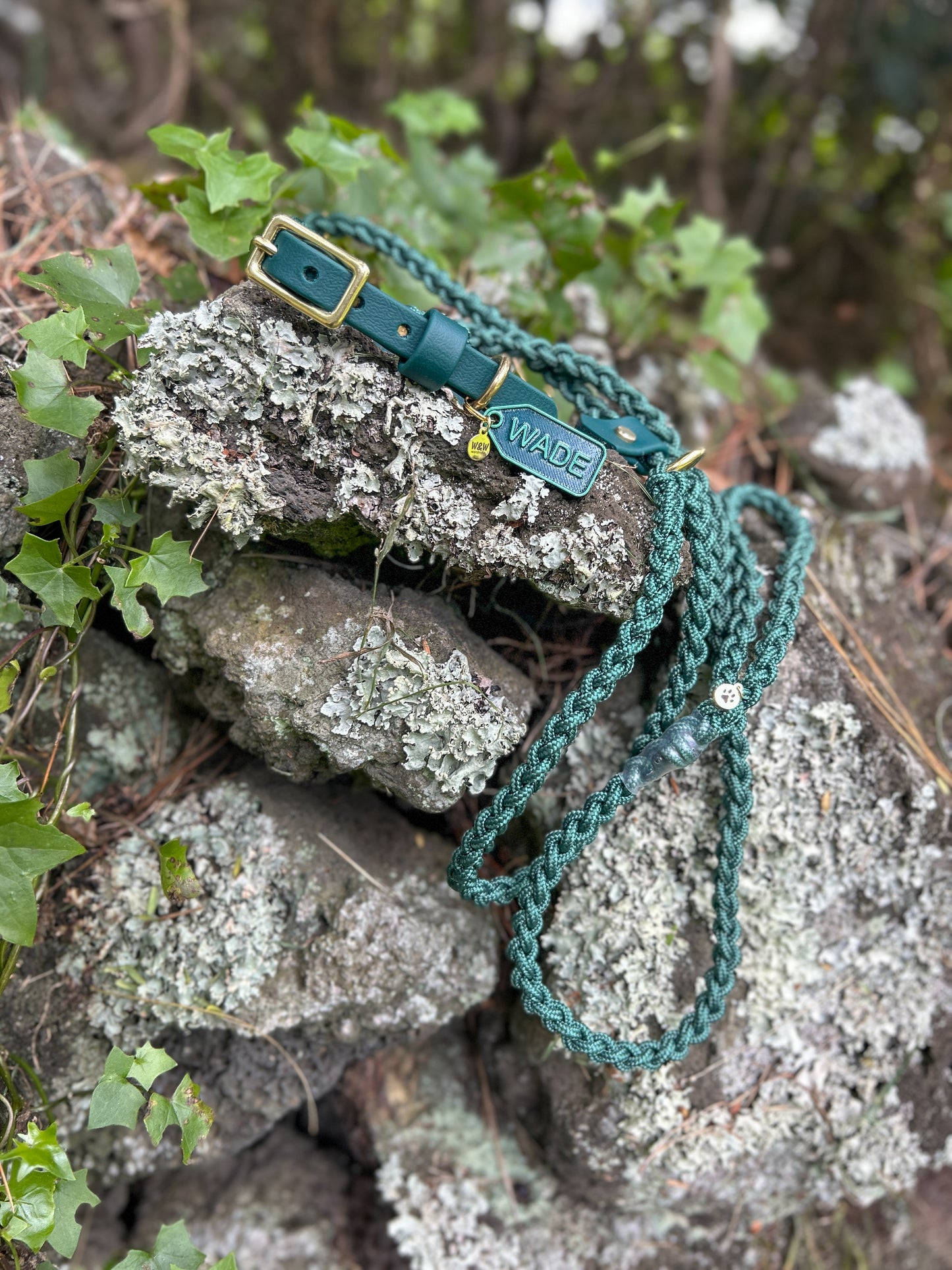 1/2" BioThane Collar