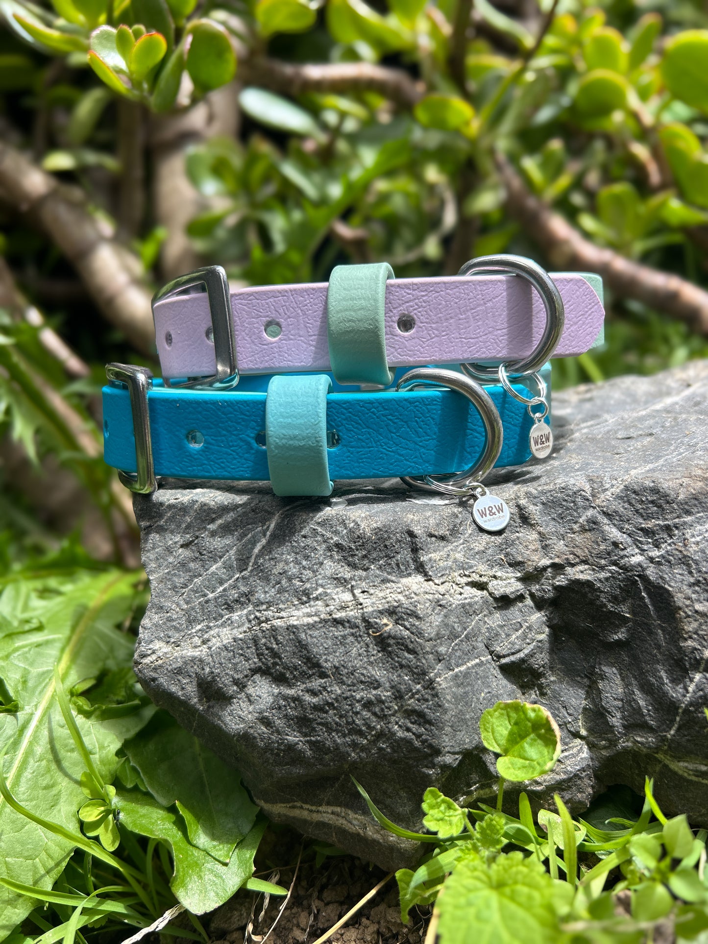 Double Trouble Collar