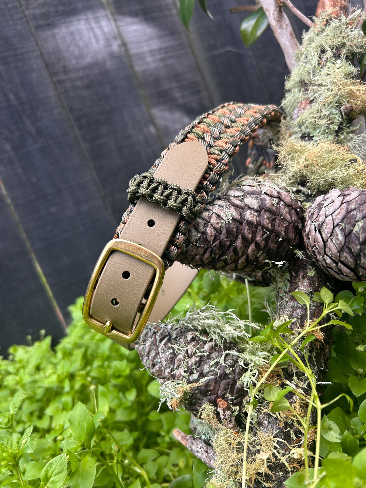 Hybrid 1" Collar