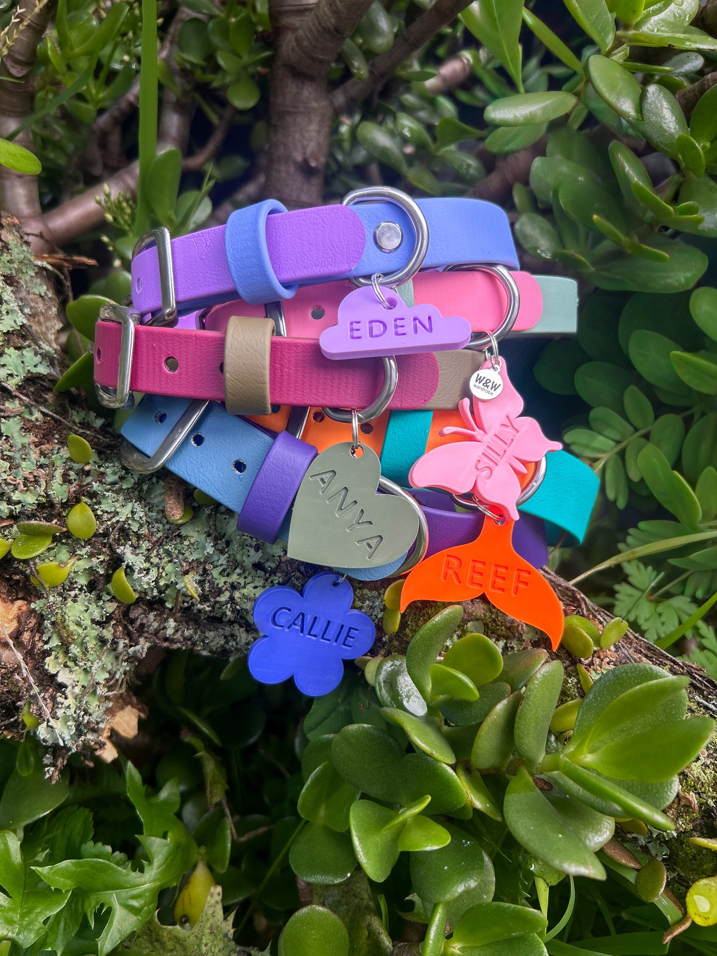 Wander Tags | Custom 3D Printed Pet Tags