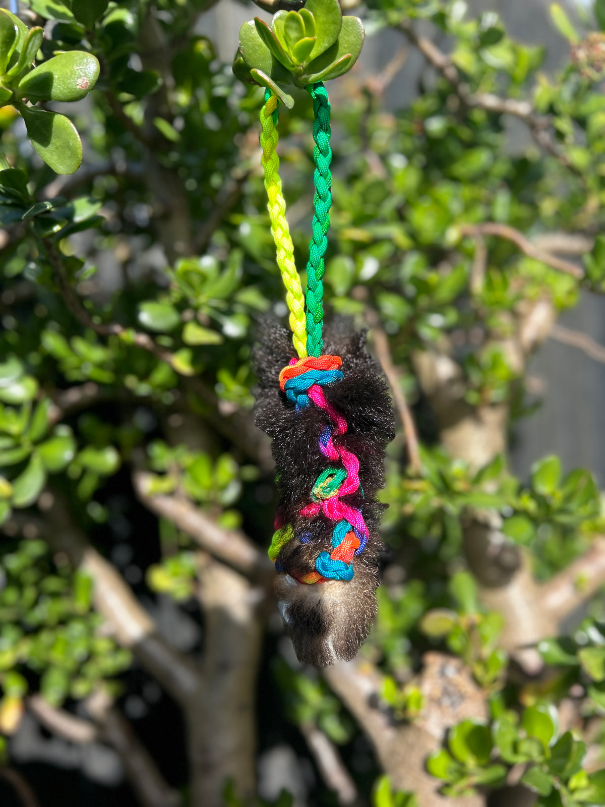 Possum Tug