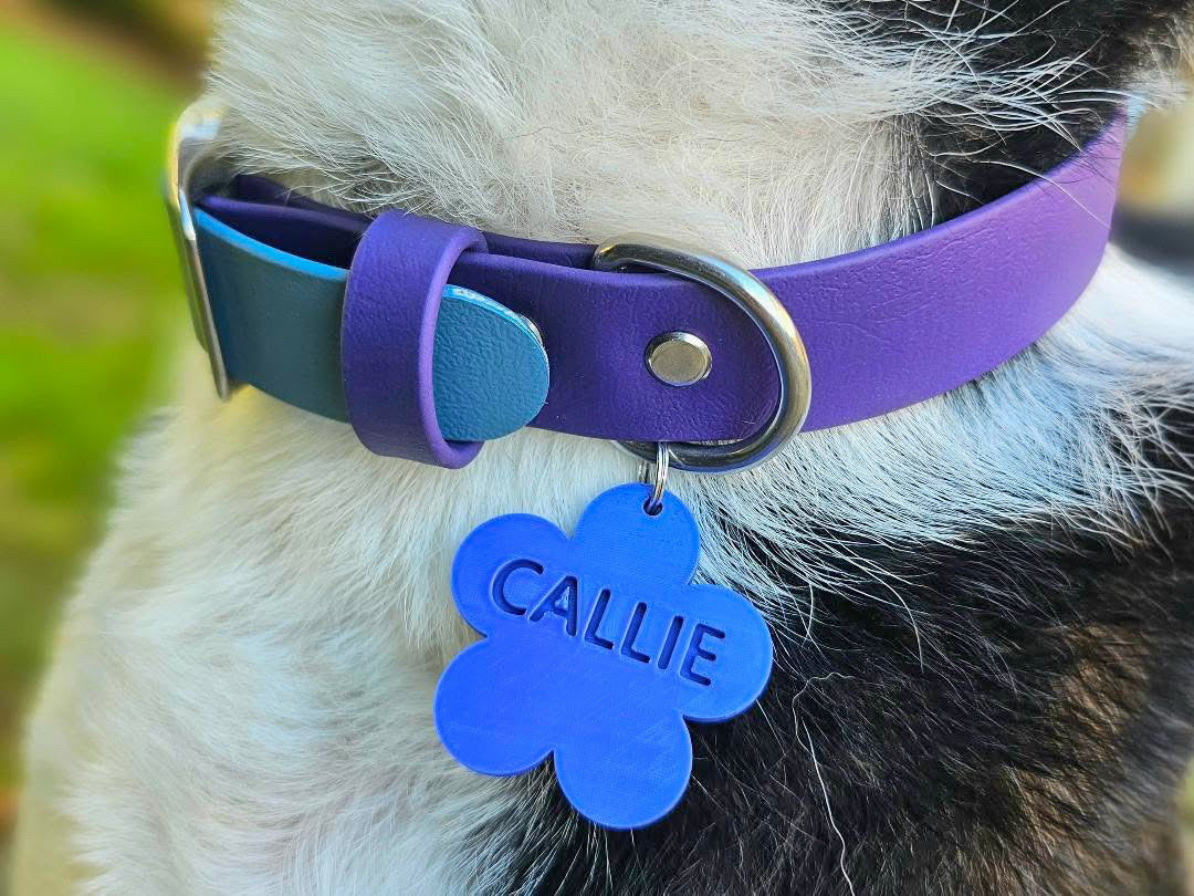 Wander Tags | Custom 3D Printed Pet Tags