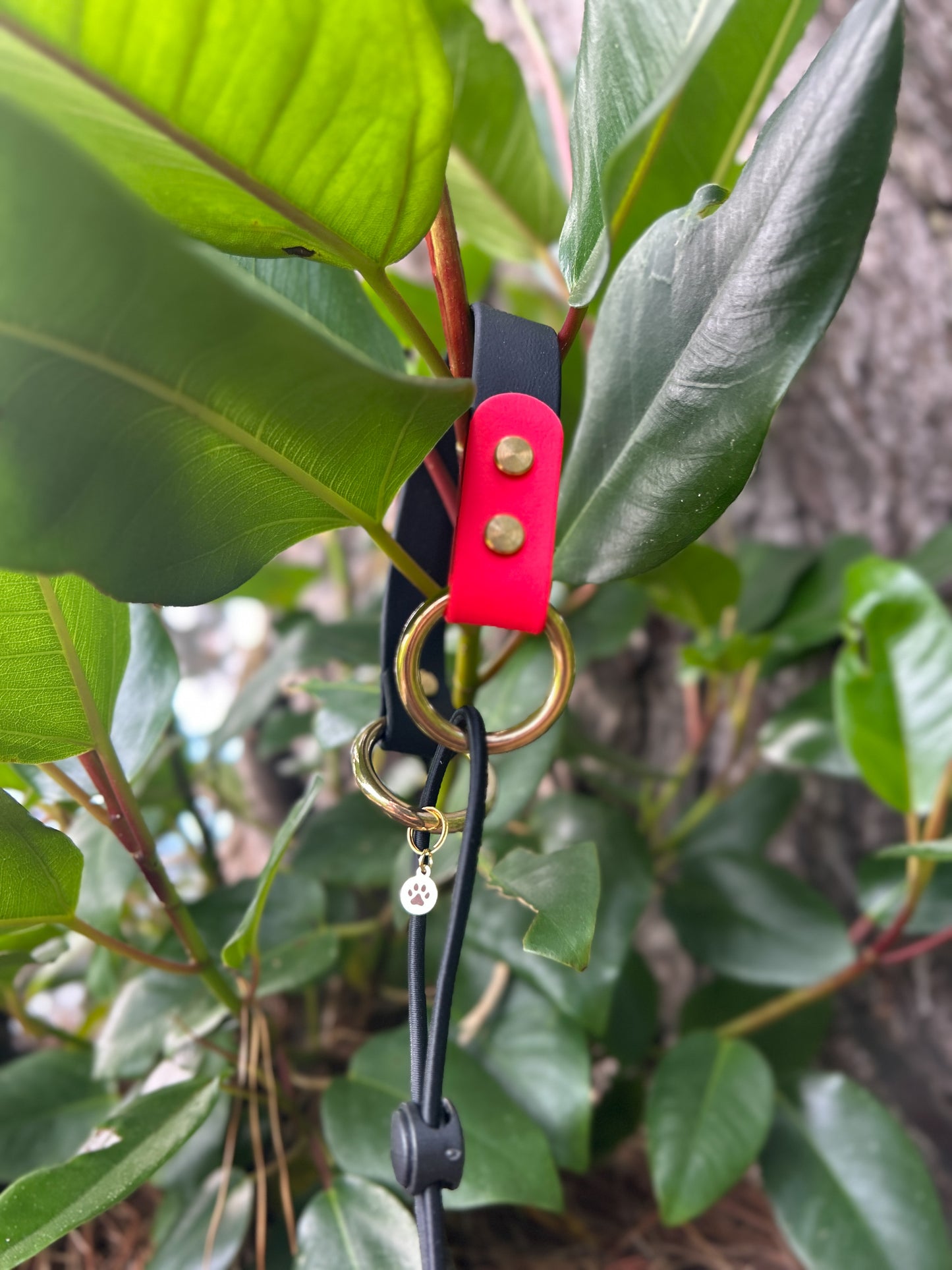 Simple Screw E-Collar Bungee 3/4"