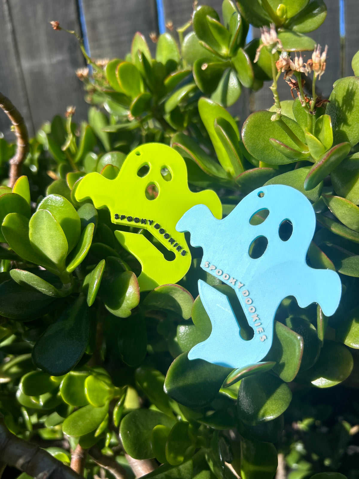 Spooky Dookie