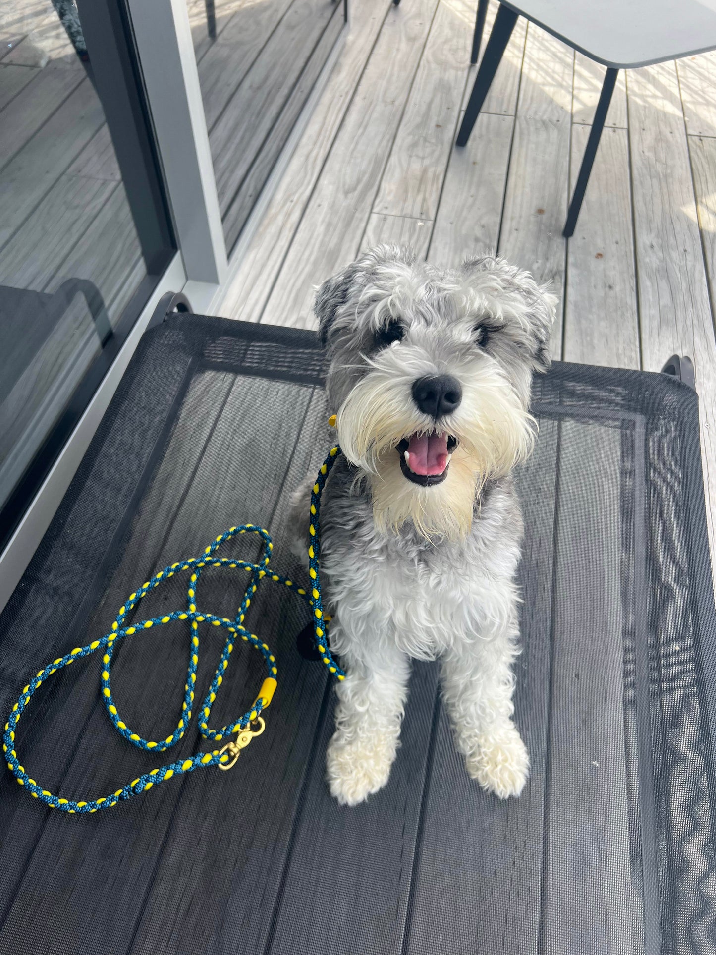 Multi-Function Paracord Lead