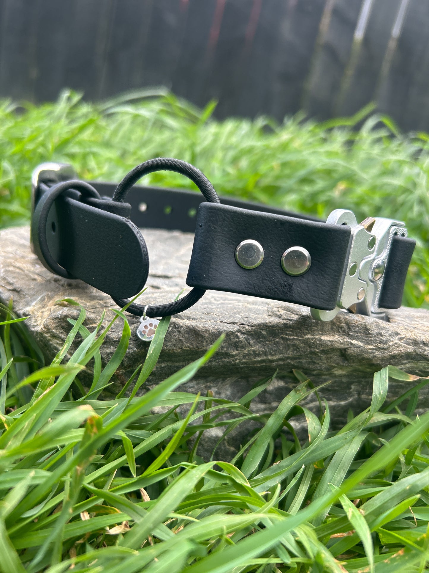 Quick Release E-Collar Bungee 1"