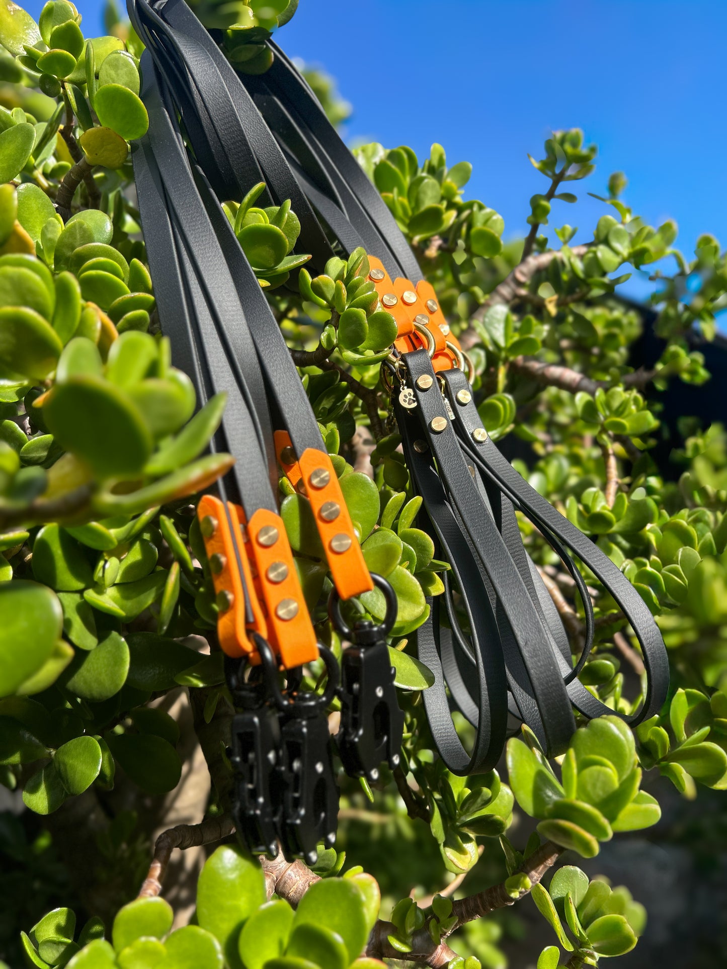 BioThane Lead