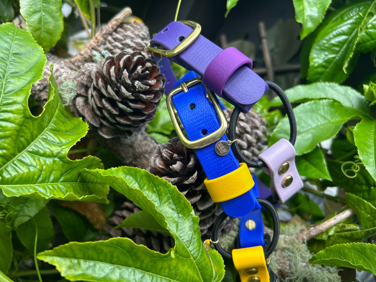 Quick release bungee E-Collar 3/4"