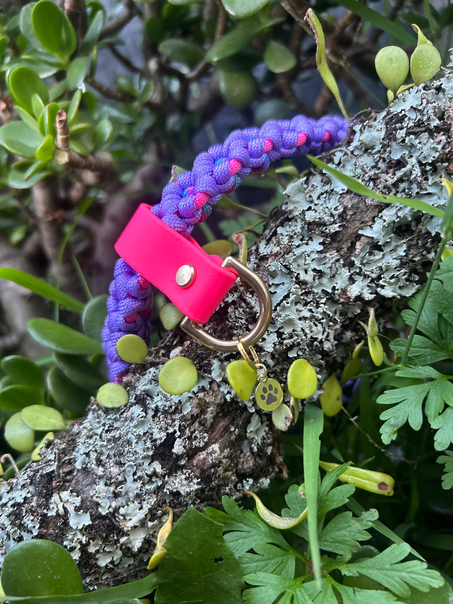 Pet ID Tag