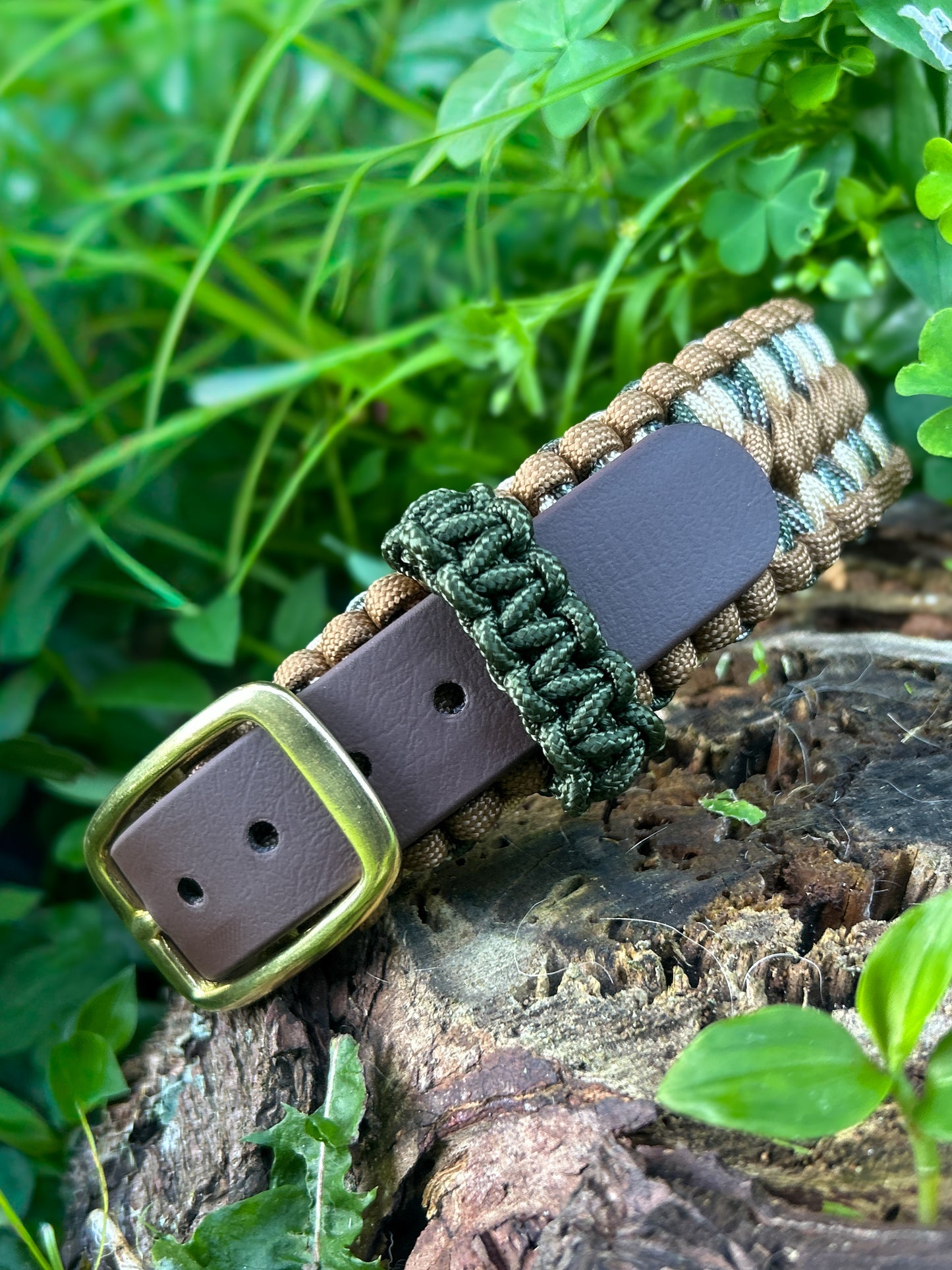 Hybrid 1" Collar