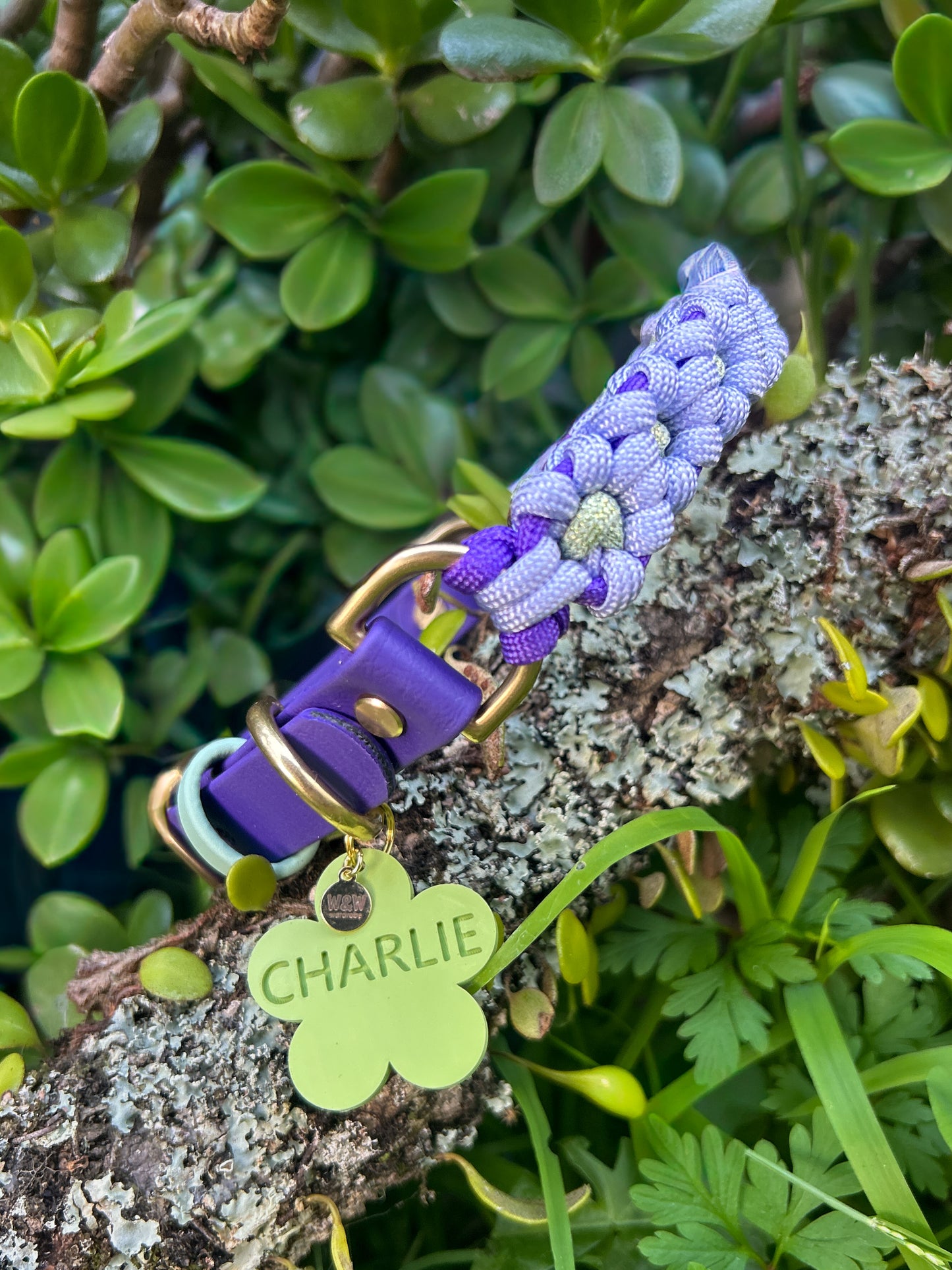 Wander Tags | Custom 3D Printed Pet Tags