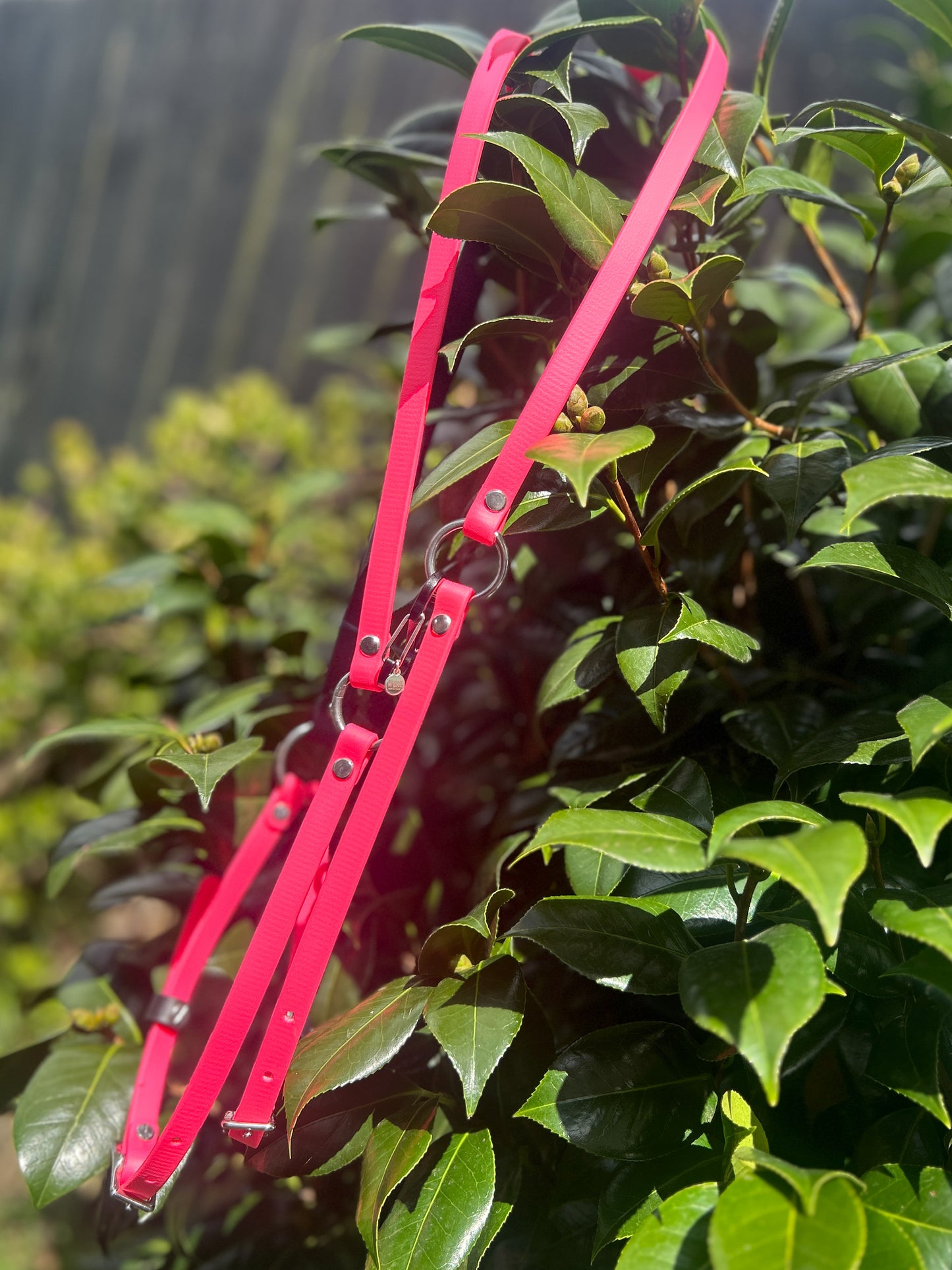 Simplistic Pack Harness