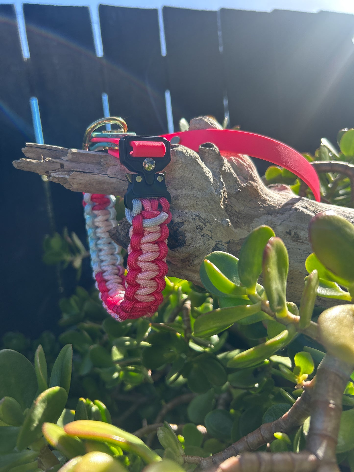 The Grow With Me Collar