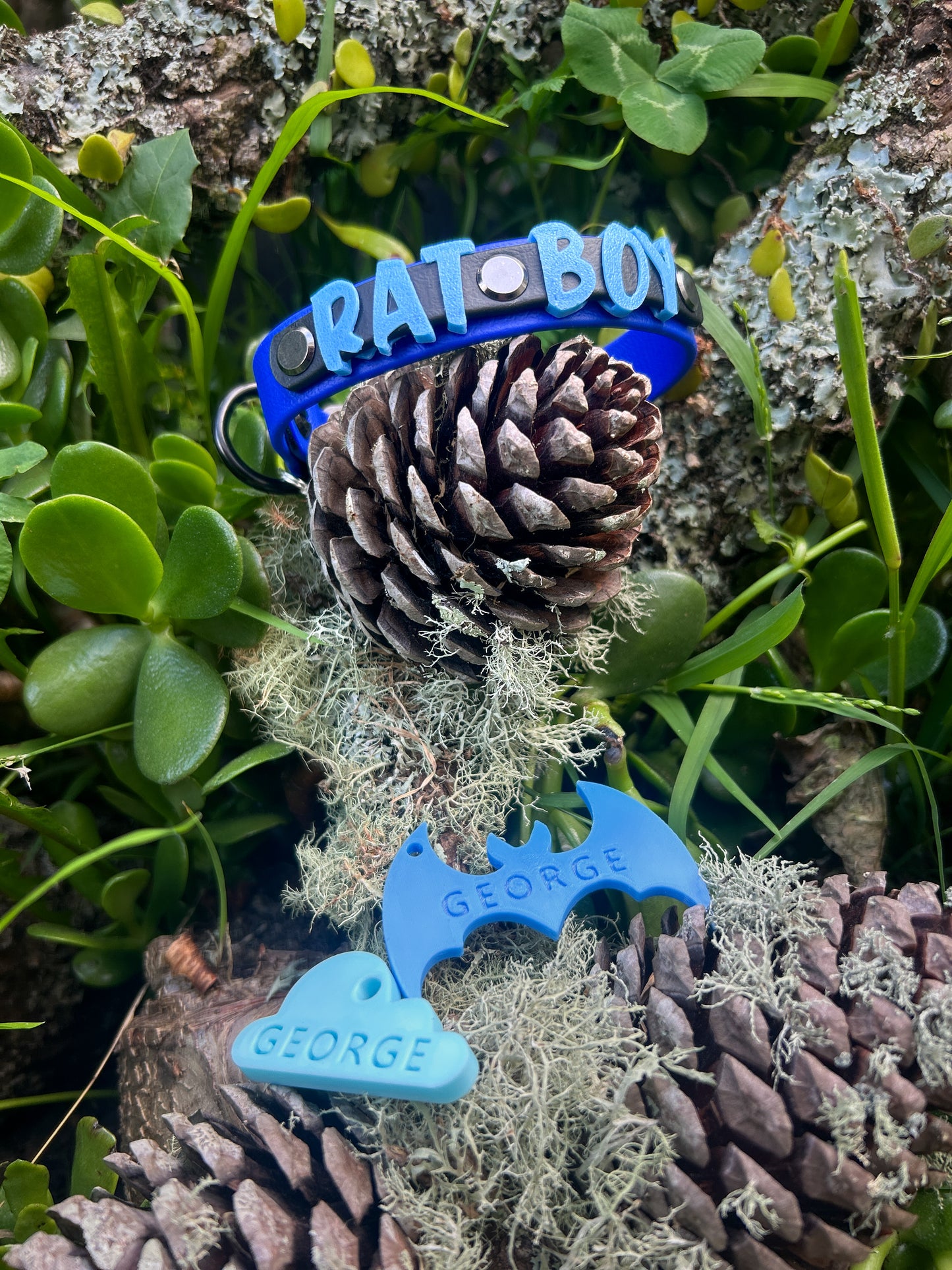 Wander Tags | Custom 3D Printed Pet Tags
