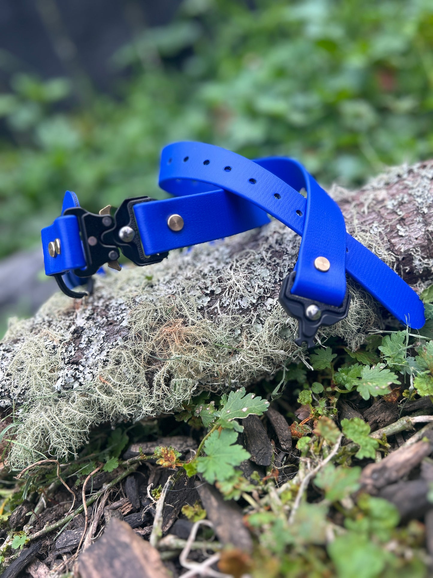 Quick Release E-Collar Bungee 1"