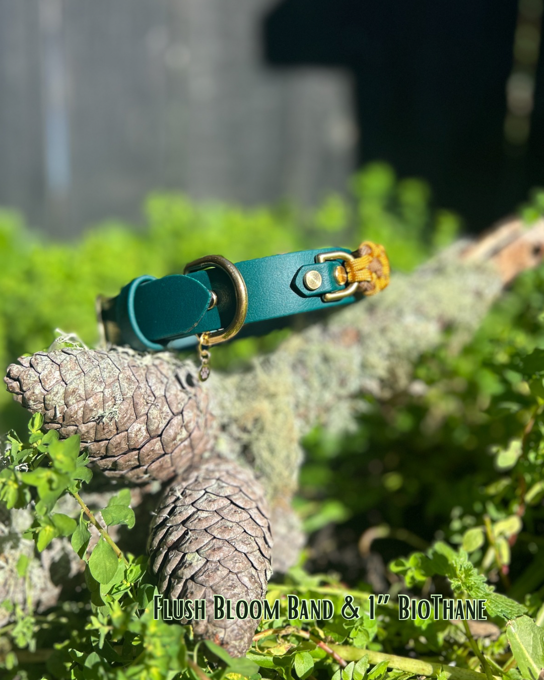 The Bloom Band 3/4"