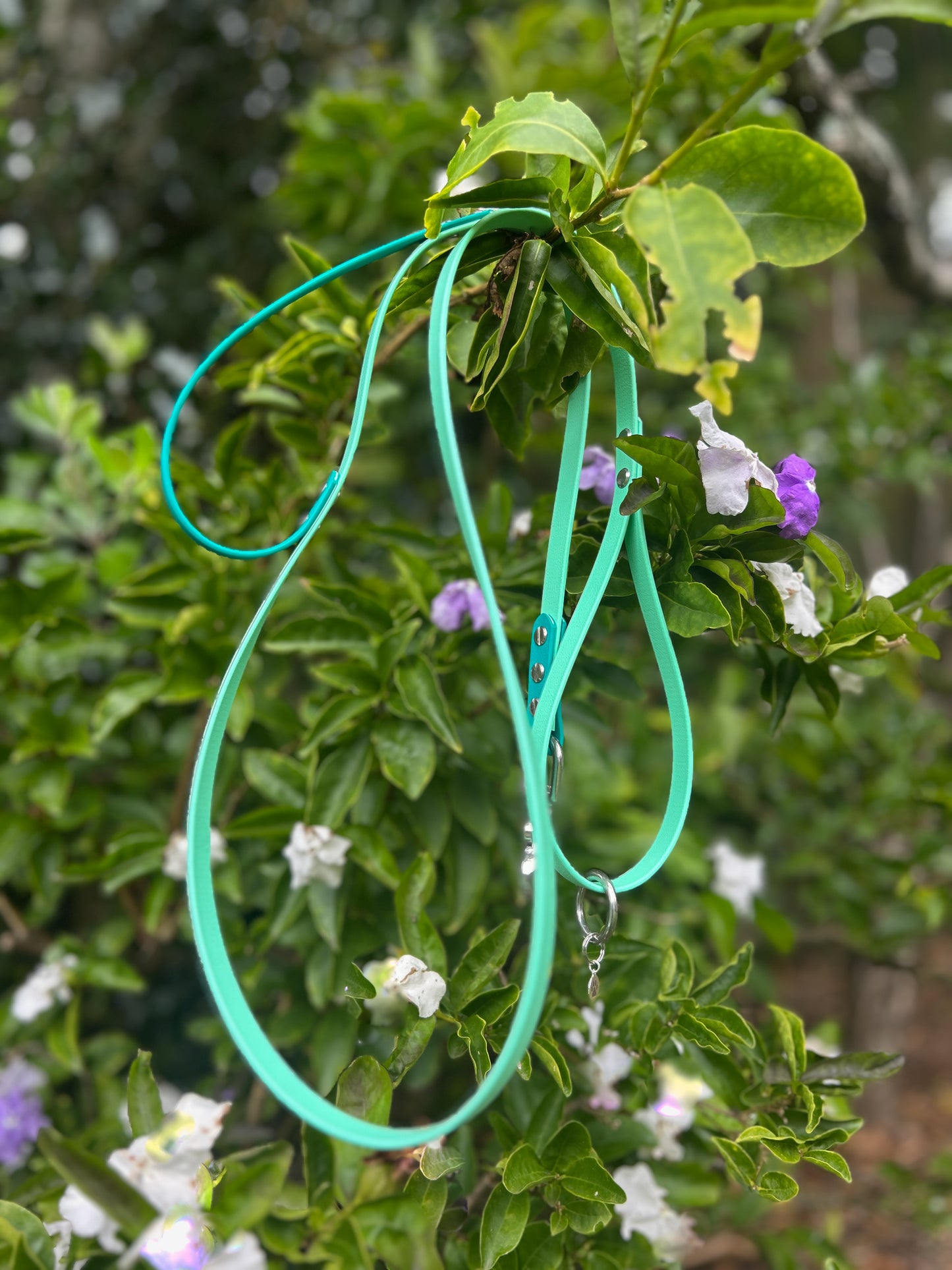 BioThane Lead