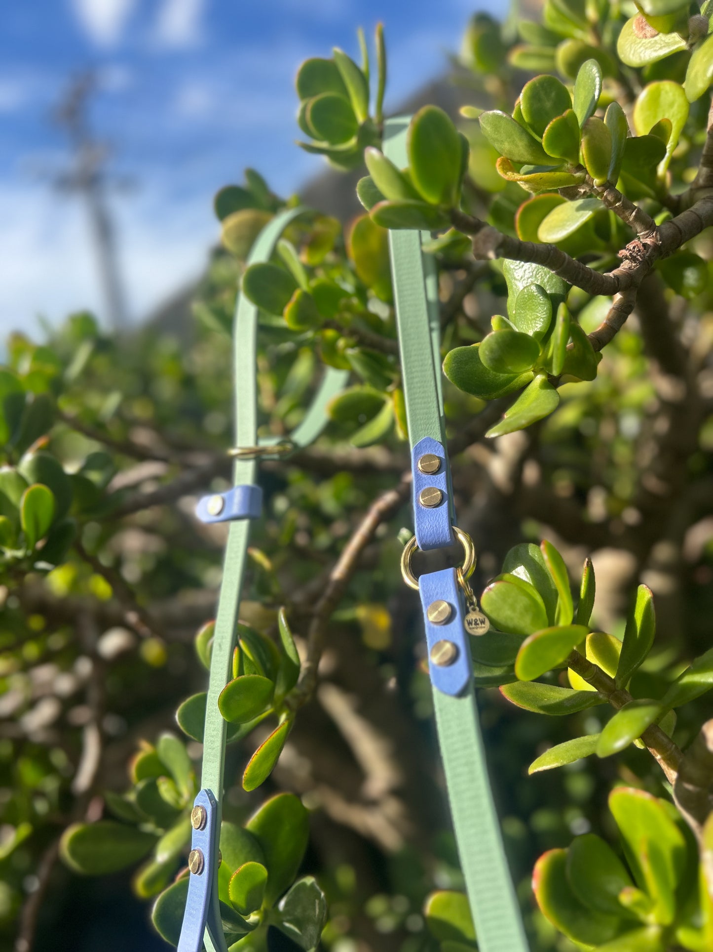 BioThane Lead