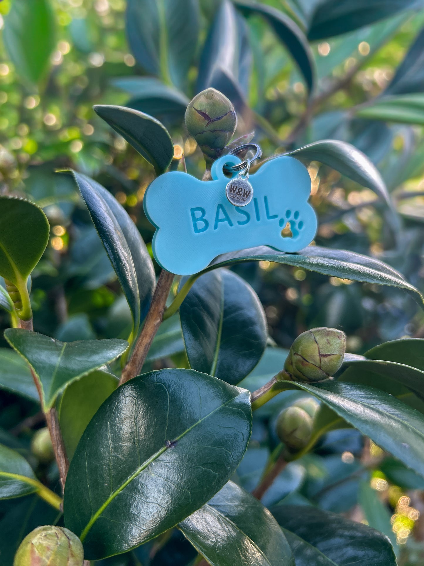 Wander Tags | Custom 3D Printed Pet Tags