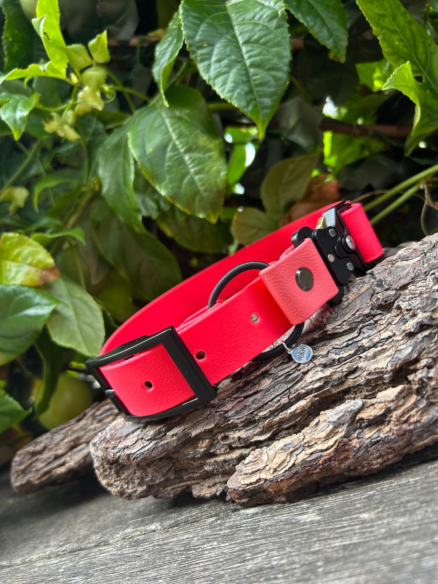 Quick Release E-Collar Bungee 1"