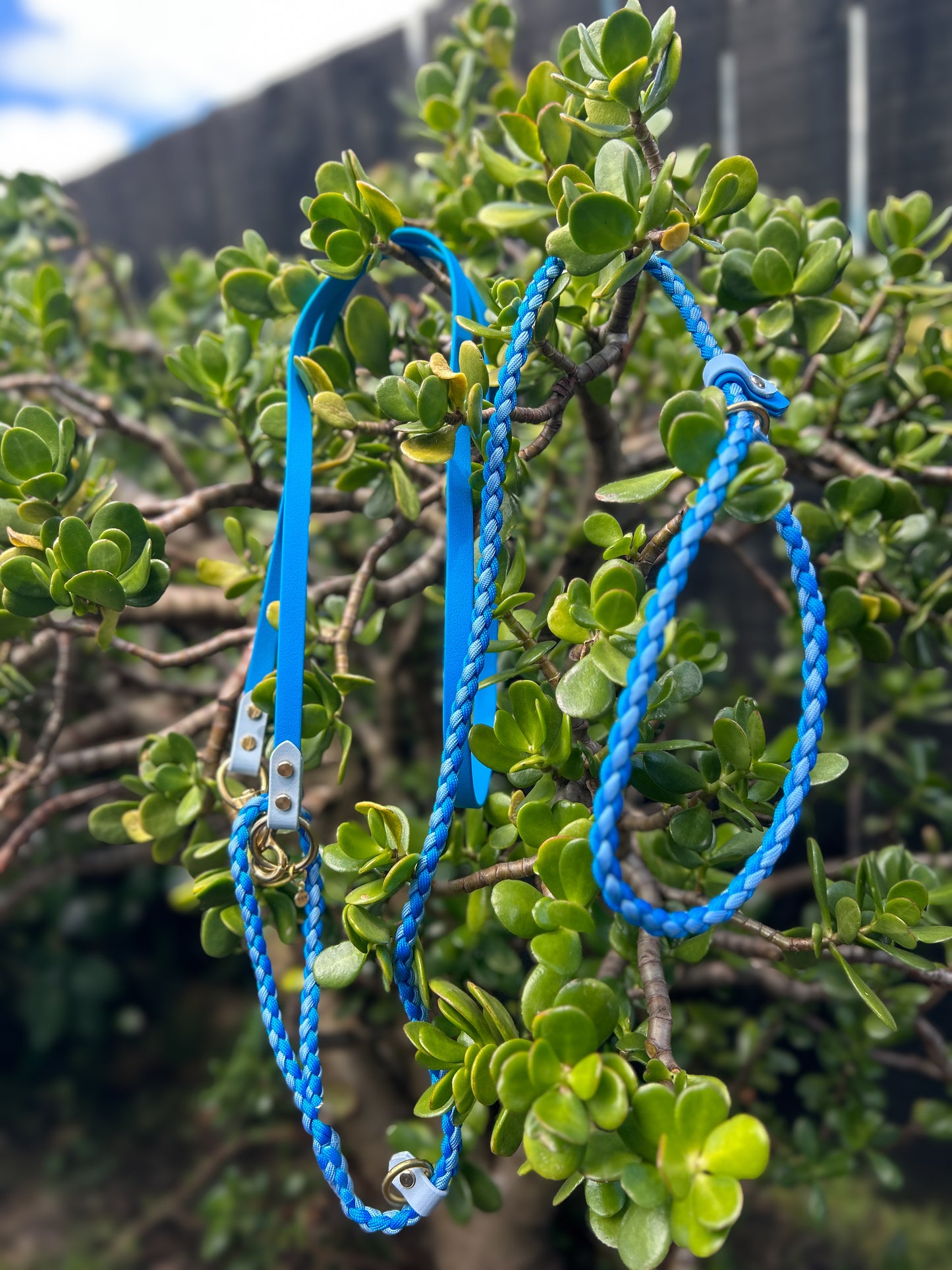 Across Body Strap
