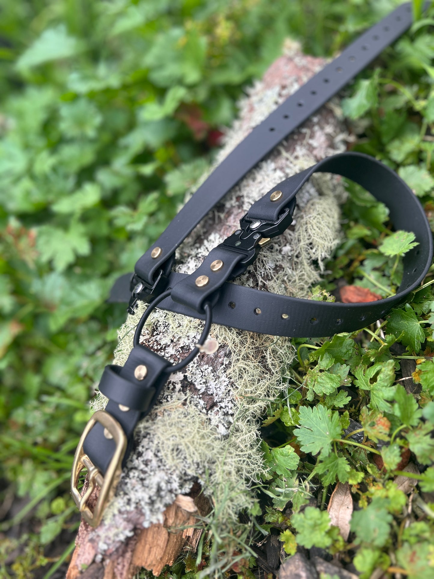 Quick Release E-Collar Bungee 1"