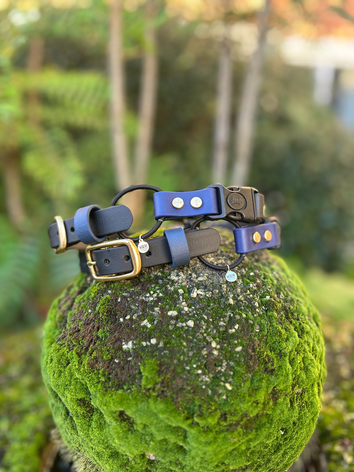 Quick release bungee E-Collar 3/4"