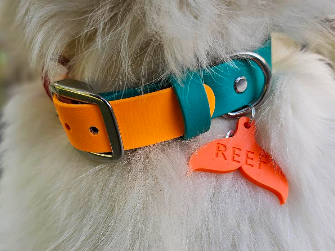 Wander Tags | Custom 3D Printed Pet Tags