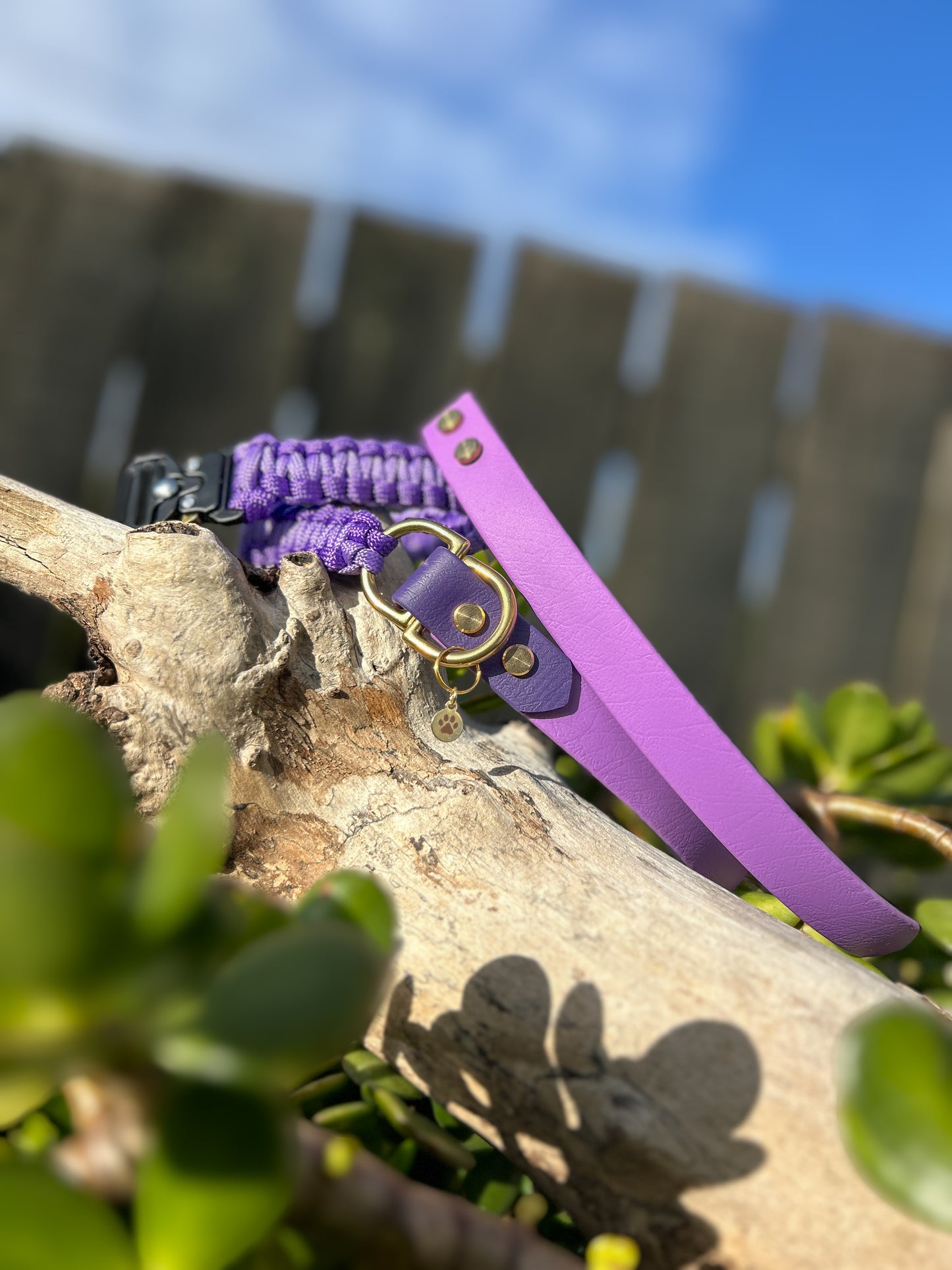 The Grow With Me Collar