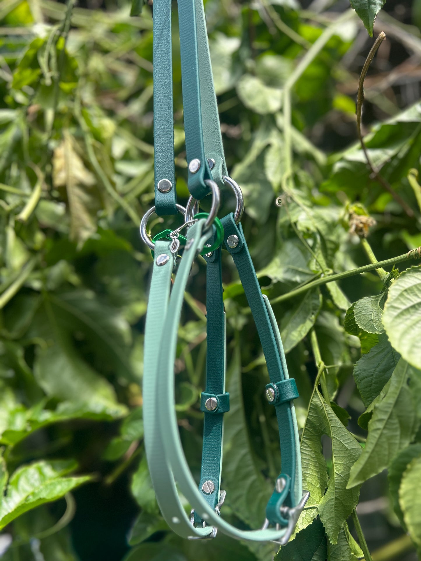 Simplistic Pack Harness