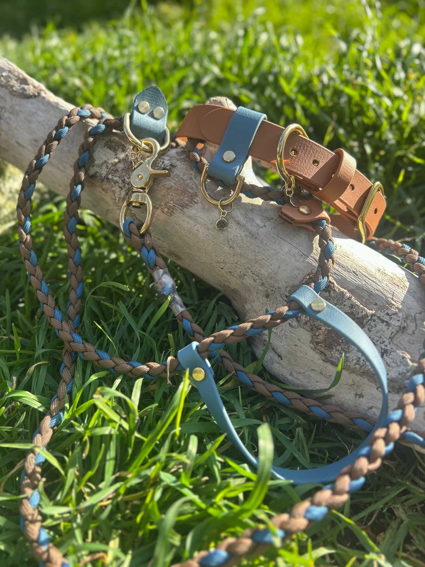 Multi-Function Paracord Lead