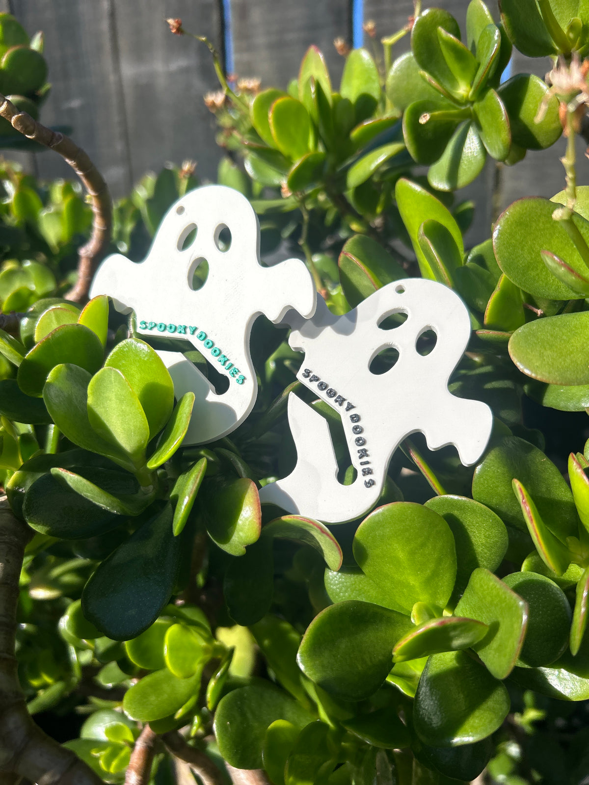 Spooky Dookie