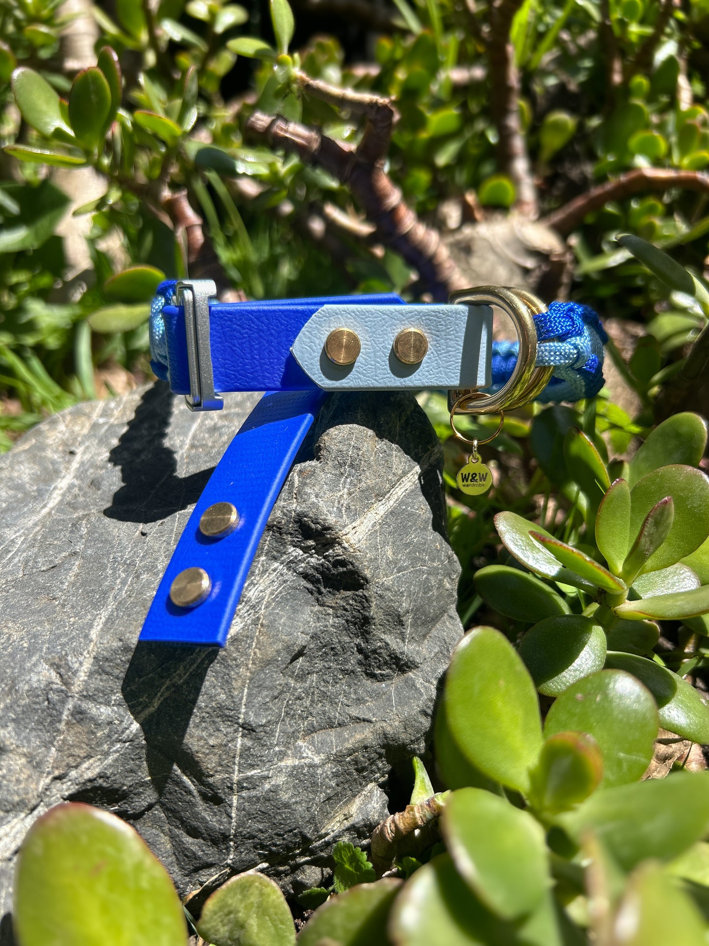 The Grow With Me Collar