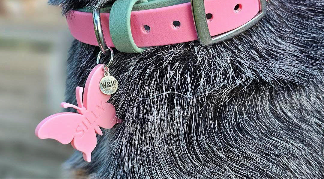 Wander Tags | Custom 3D Printed Pet Tags