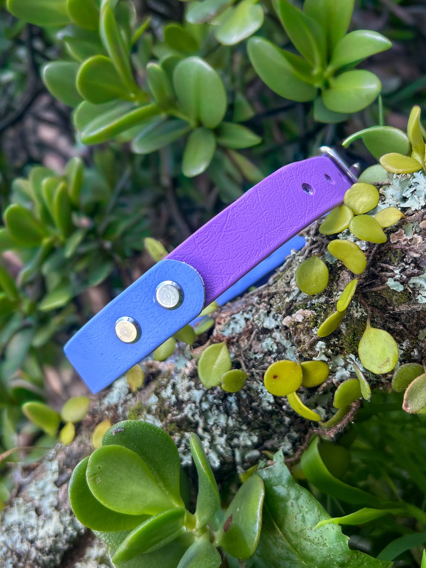 Double Trouble Collar