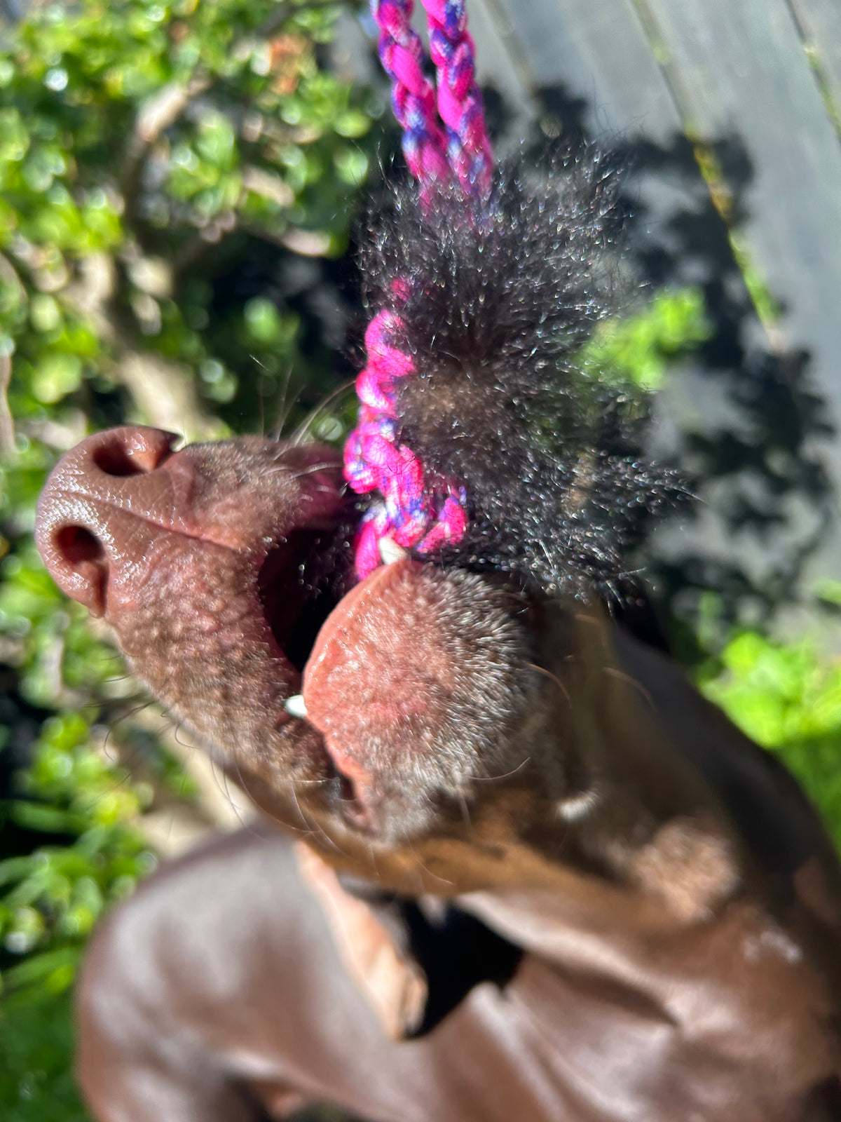 Possum Tug