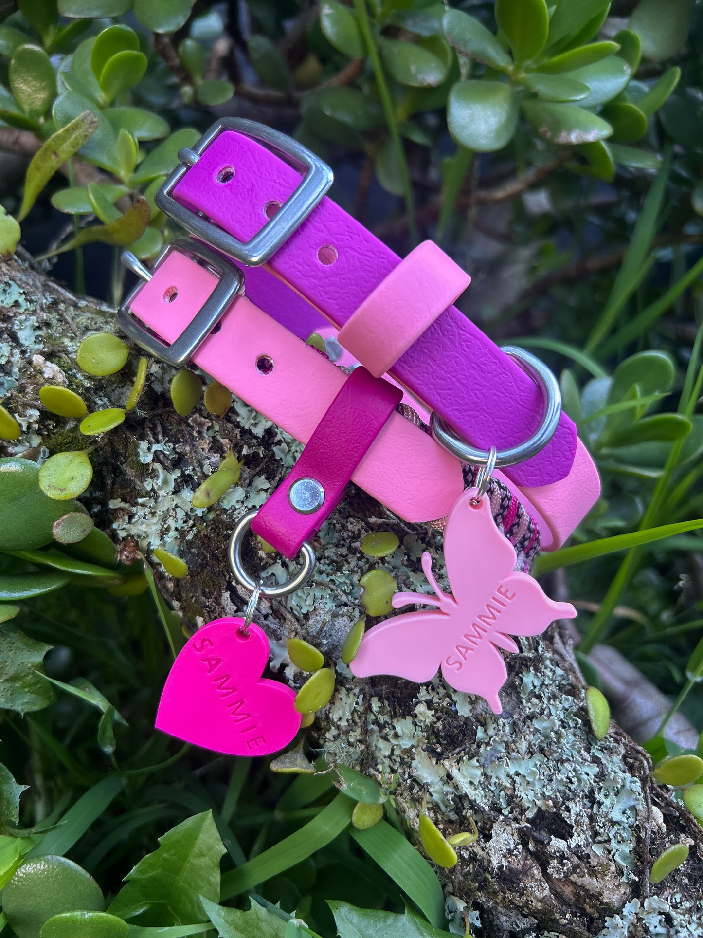 Wander Tags | Custom 3D Printed Pet Tags