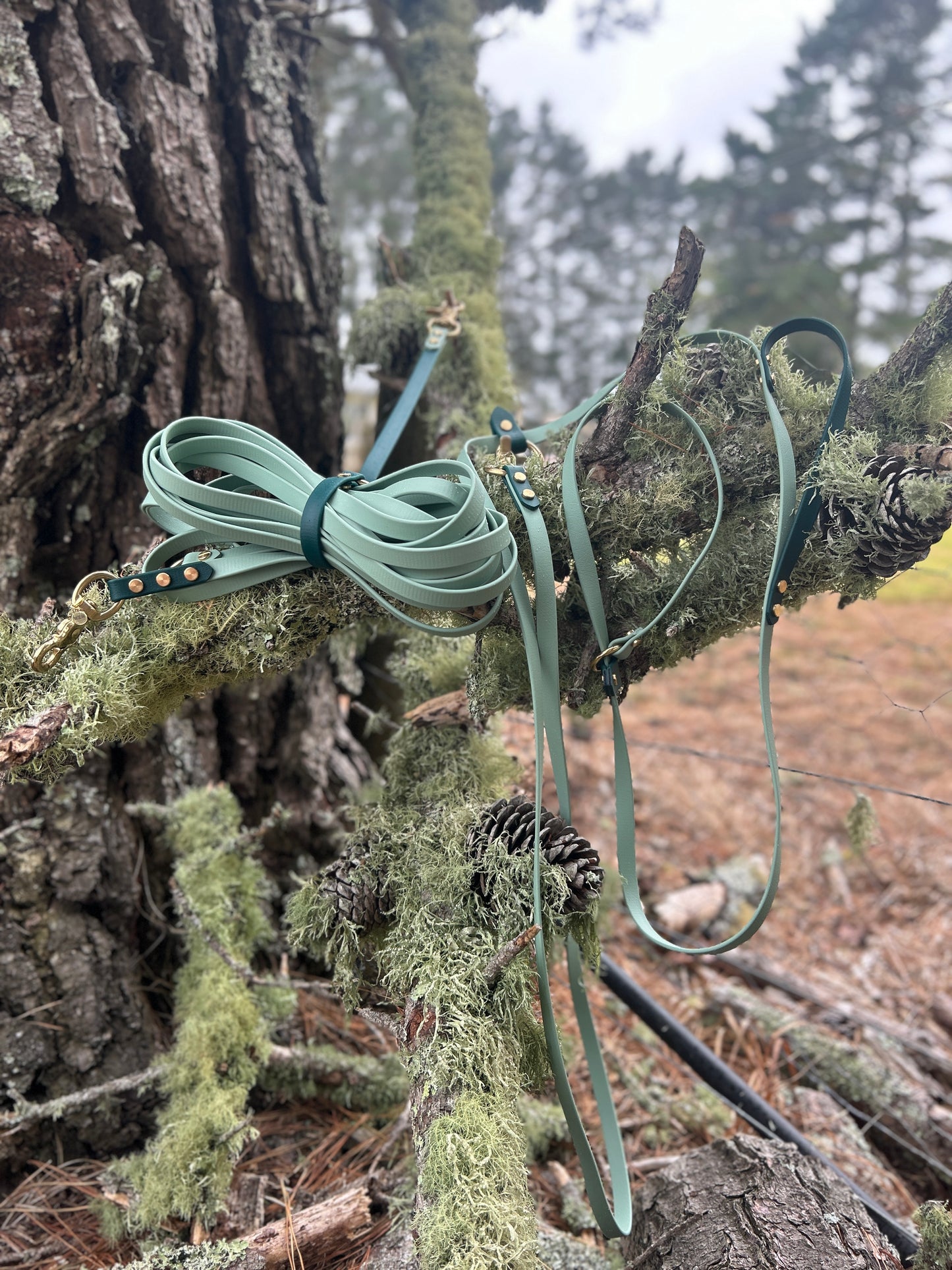 Multi-Function BioThane Lead