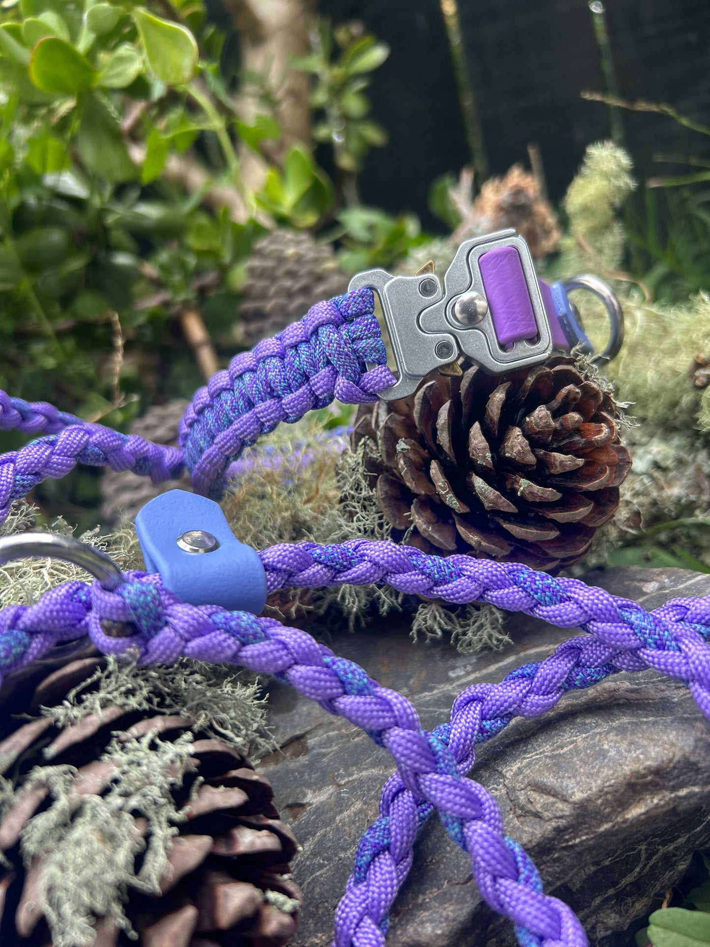 The Grow With Me Collar