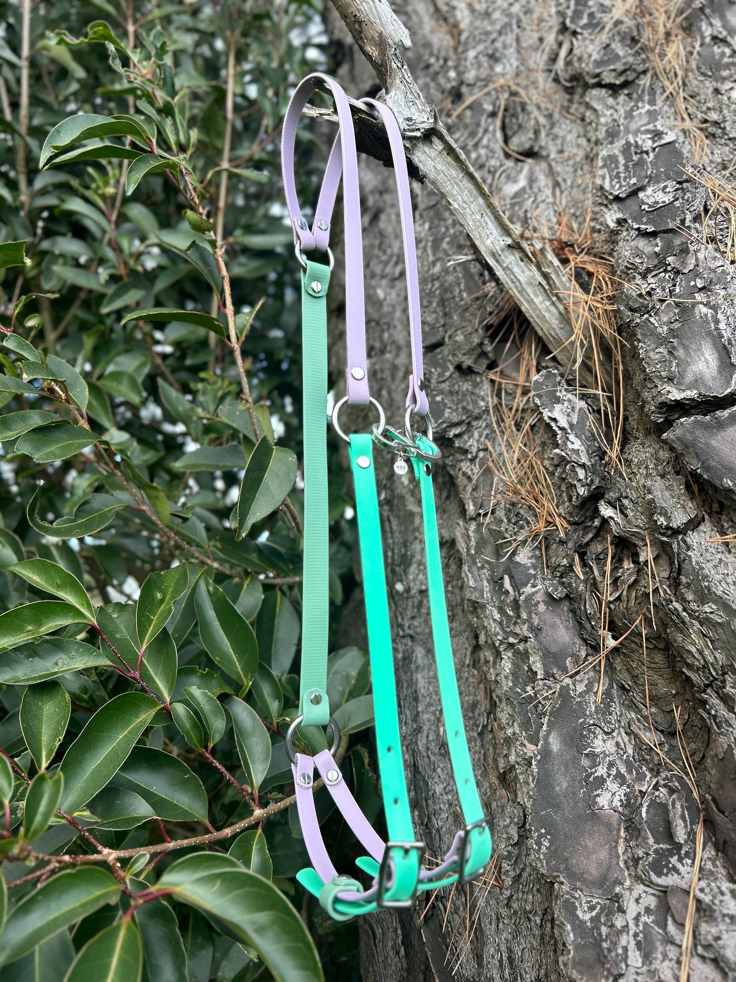 Simplistic Pack Harness