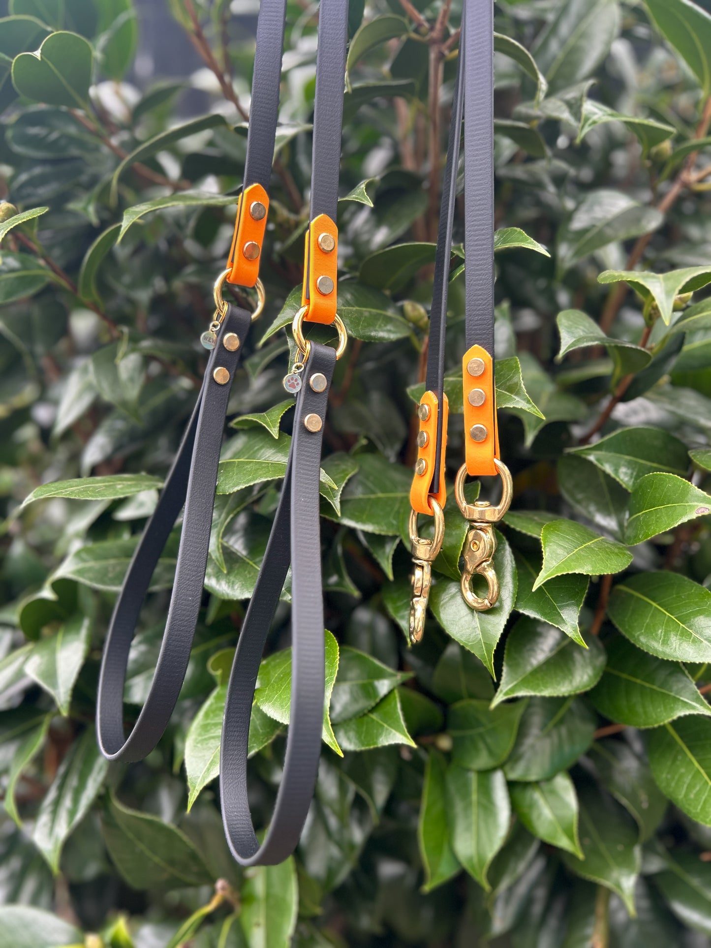 BioThane Lead