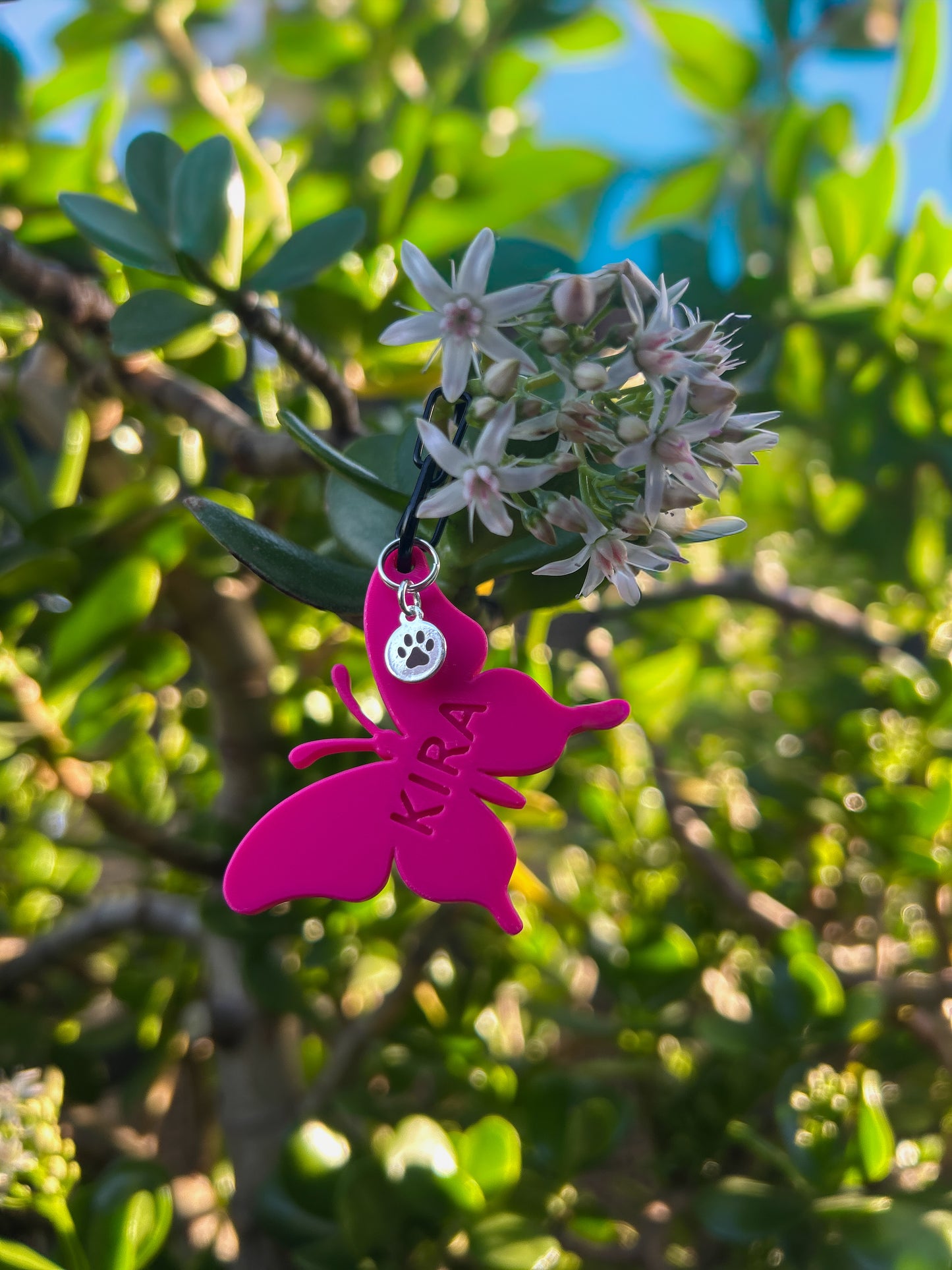 Wander Tags | Custom 3D Printed Pet Tags