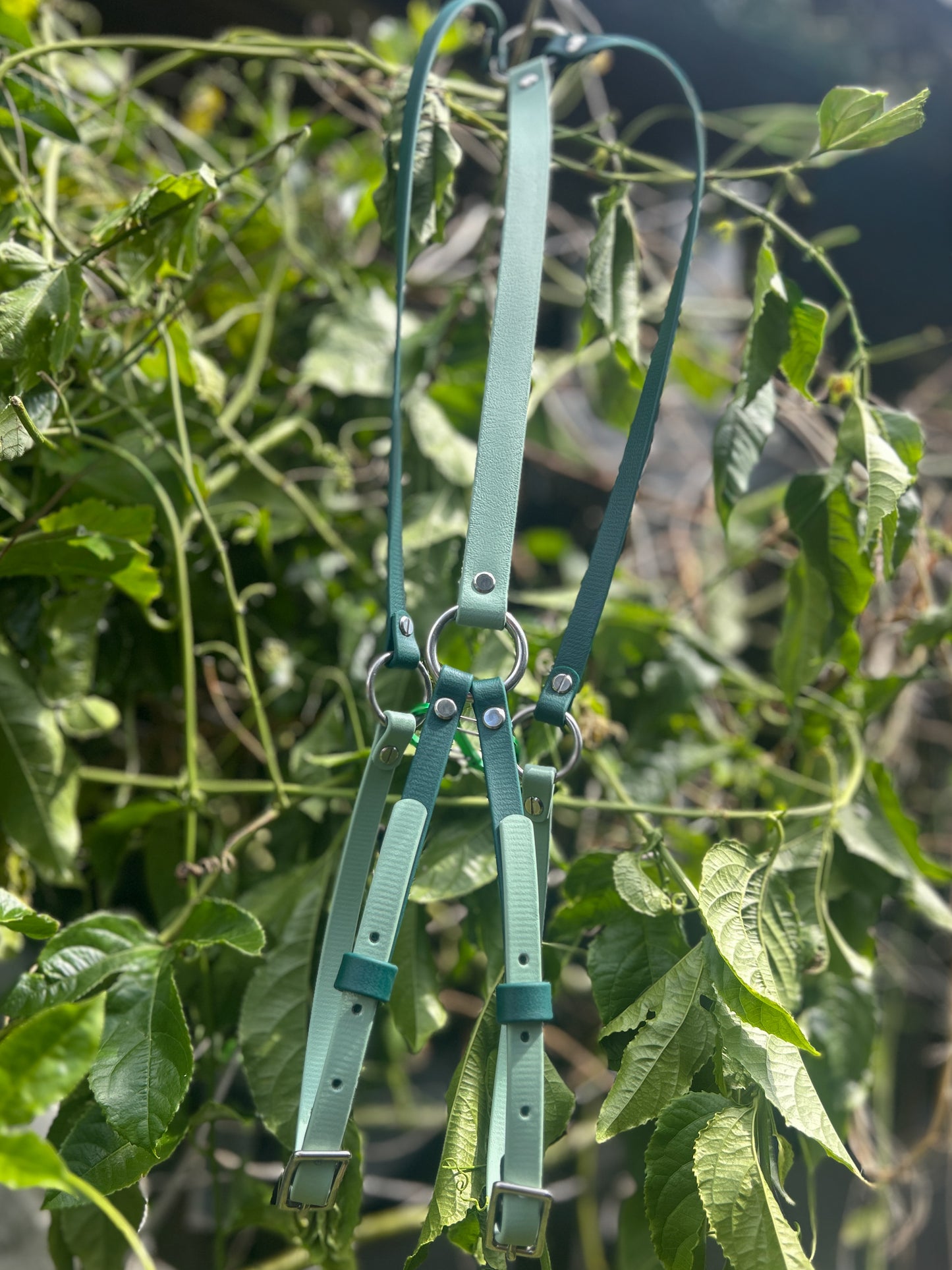 Simplistic Pack Harness
