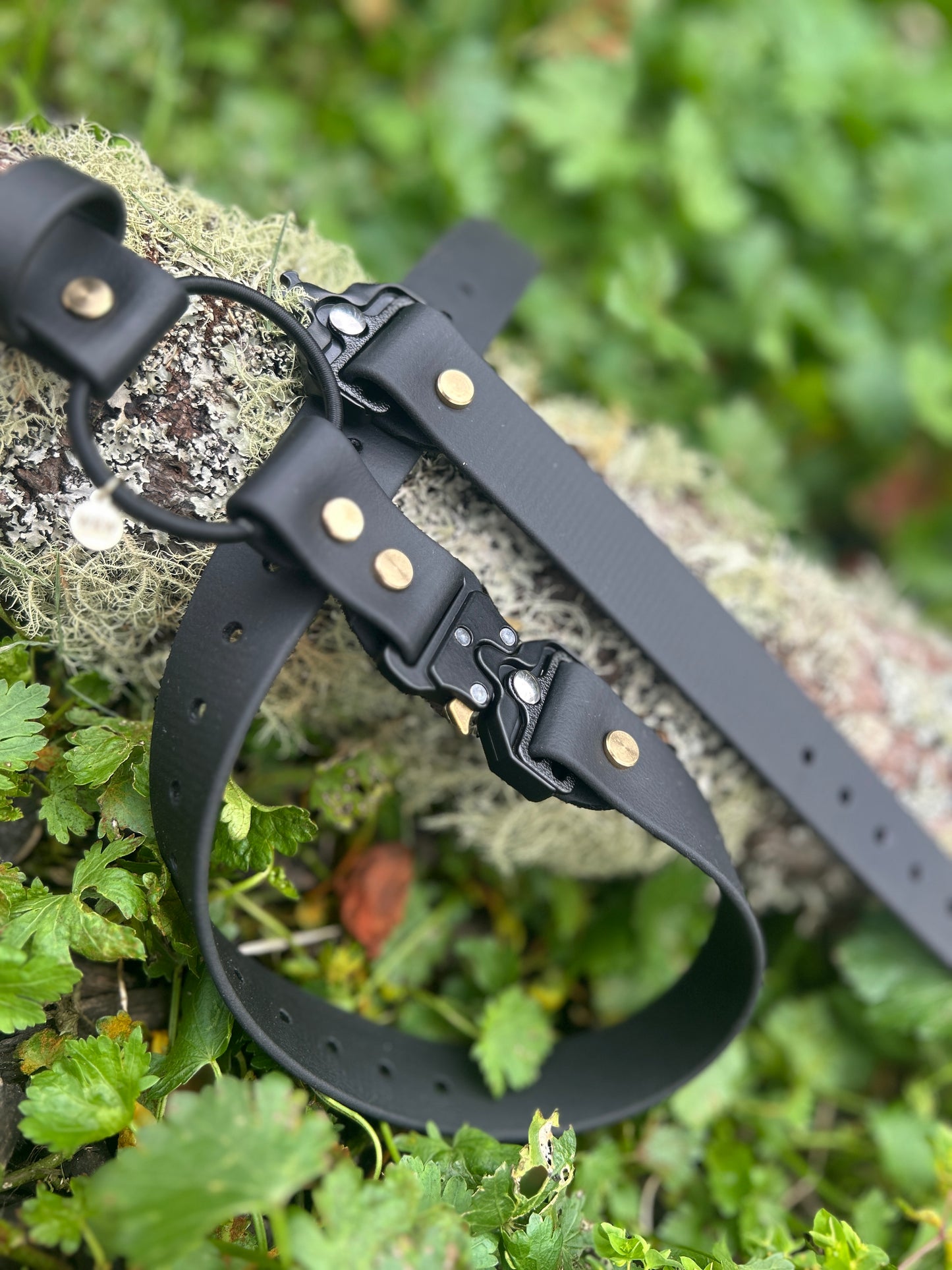 Quick Release E-Collar Bungee 1"