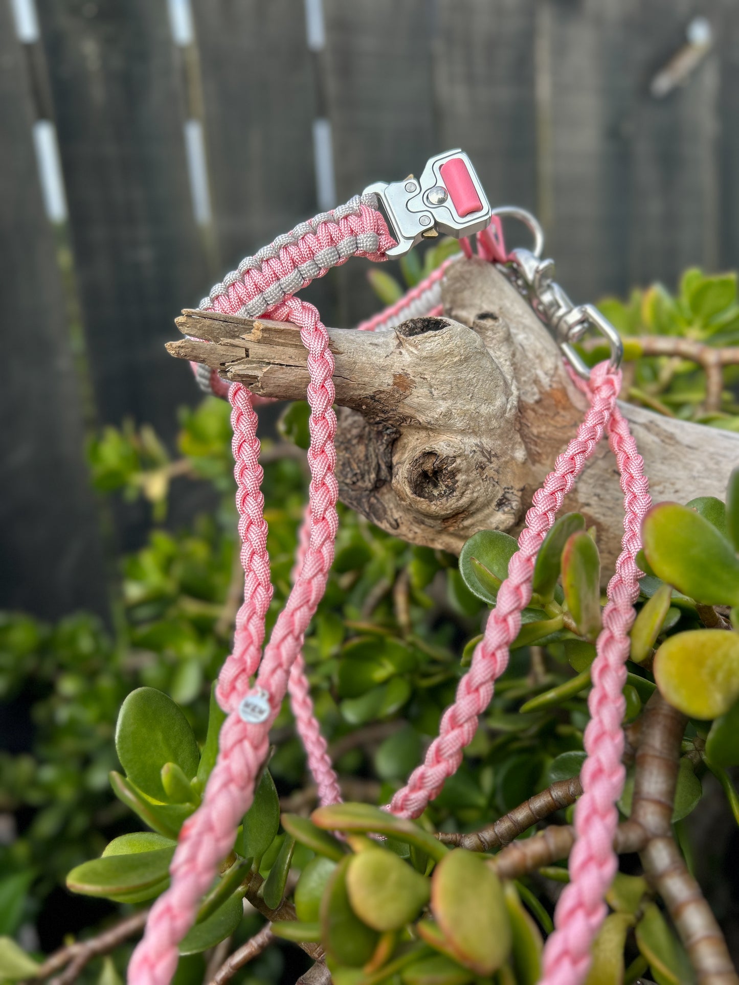 The Grow With Me Collar