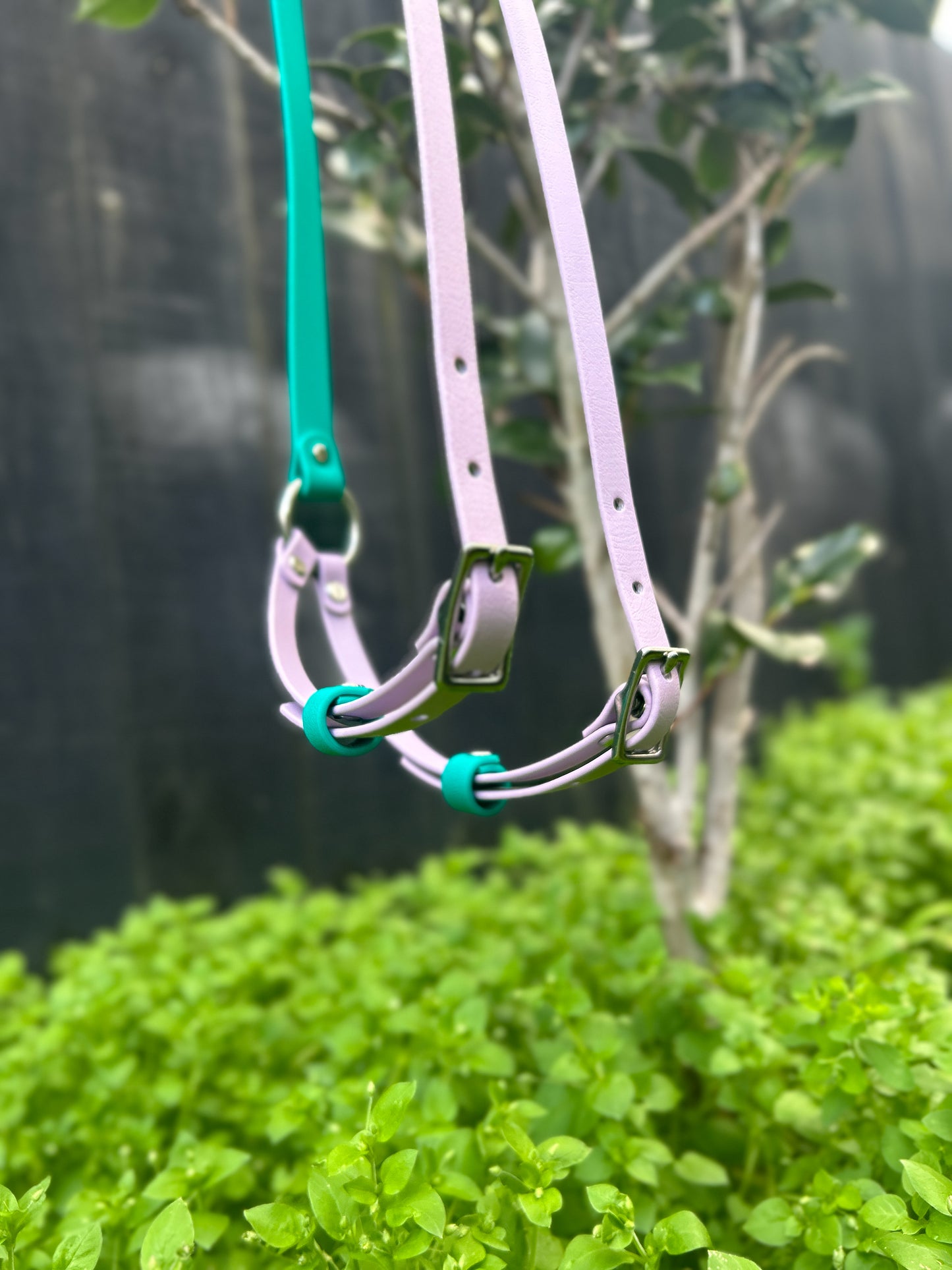 Simplistic Pack Harness