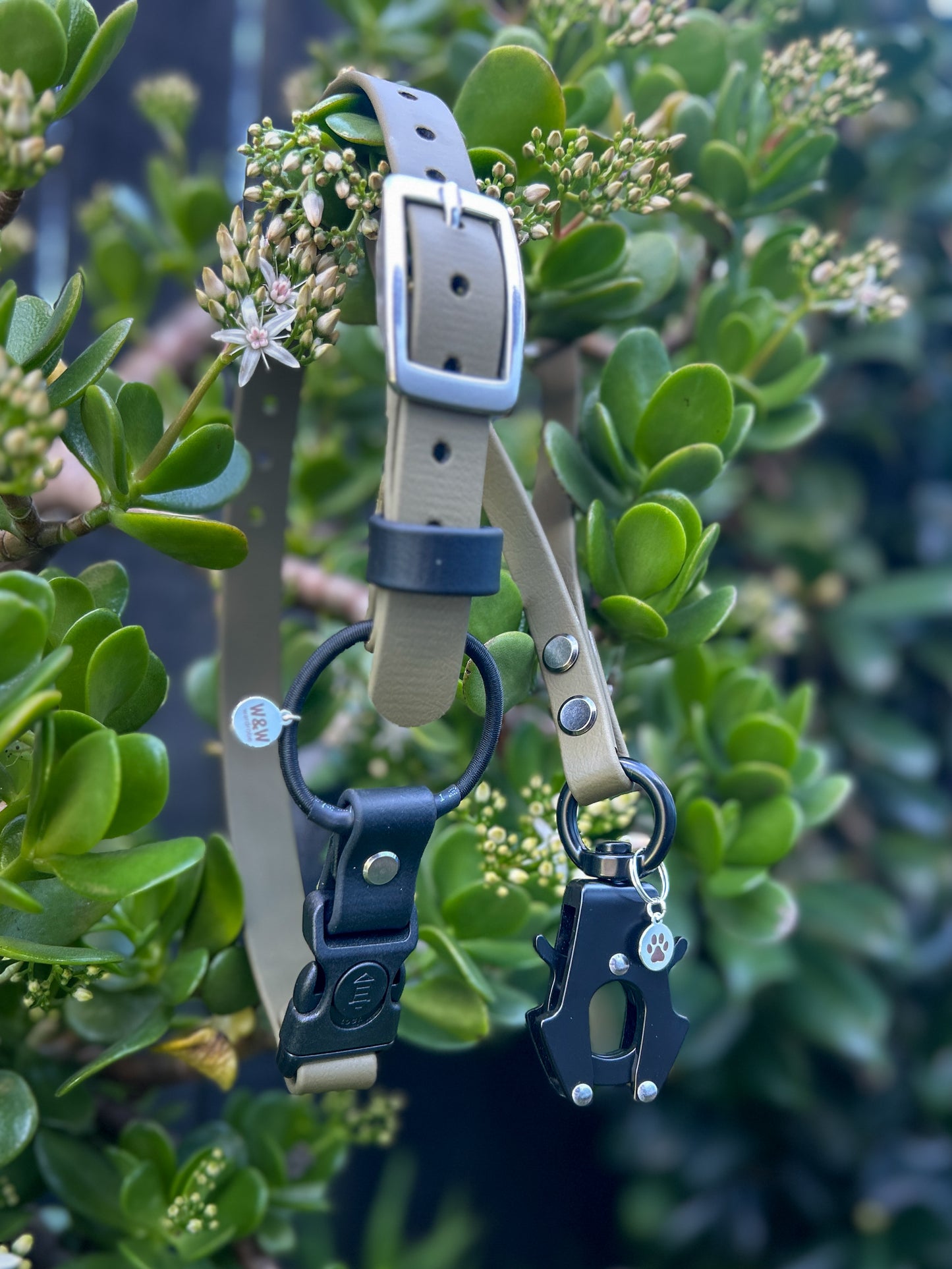 Quick release bungee E-Collar 3/4"