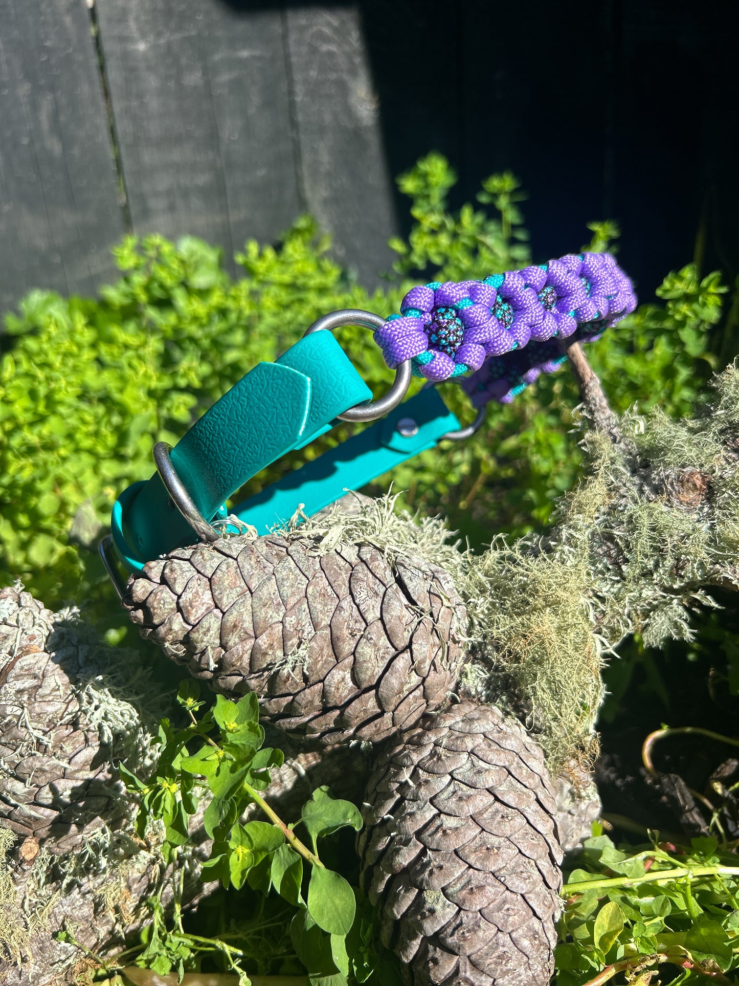 The Hybrid Bloom