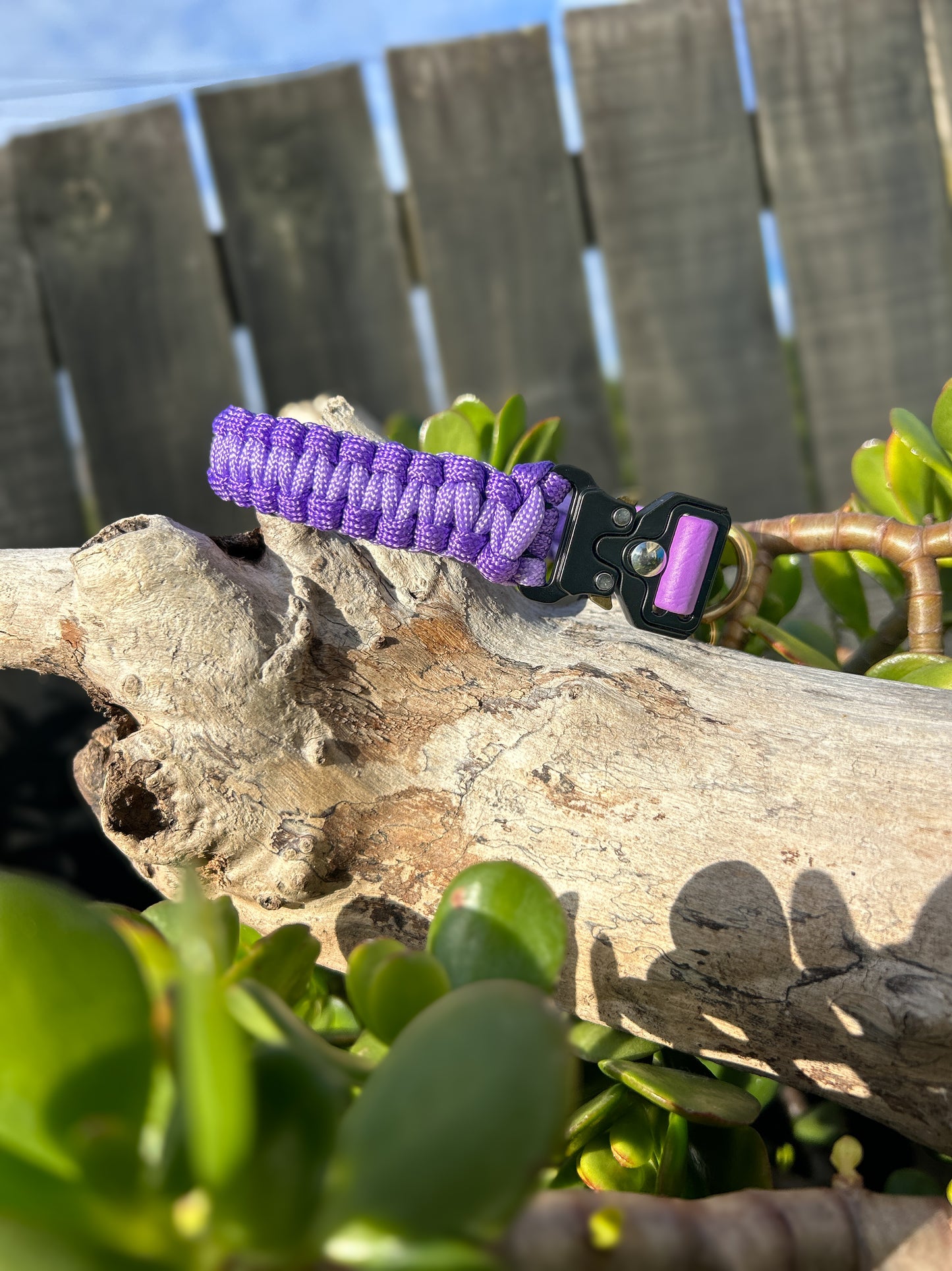 The Grow With Me Collar